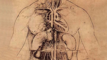 Organoss