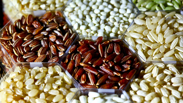 Grains