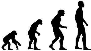 Evolution2