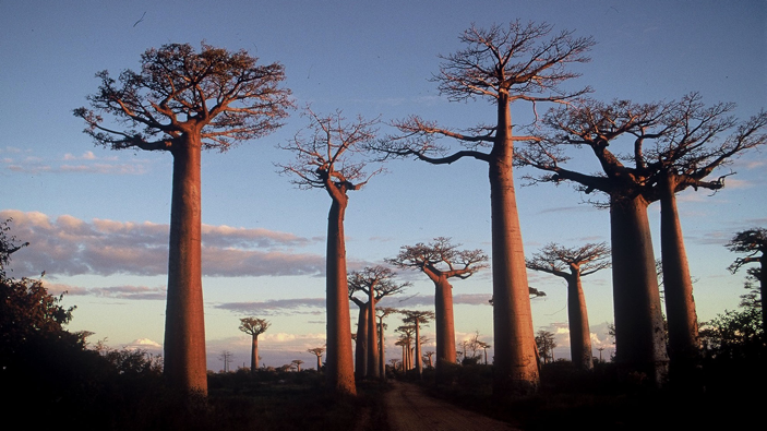 Madagascar