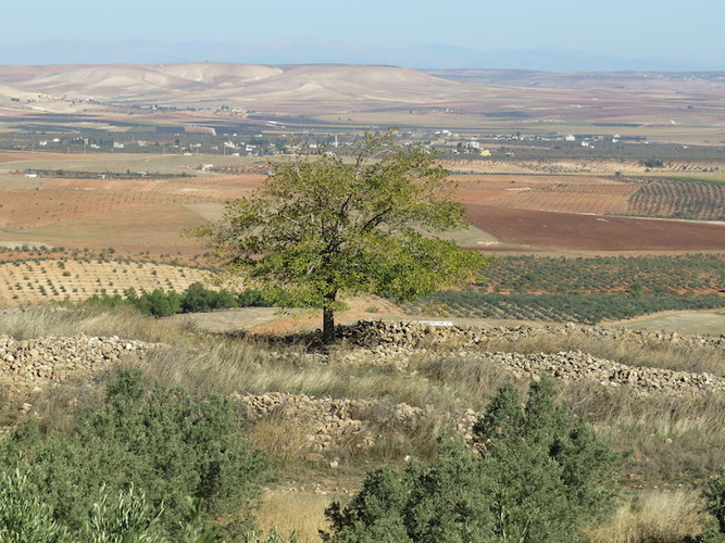 Gobekli Tepe