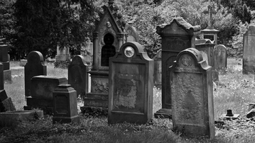 Cemetery goy